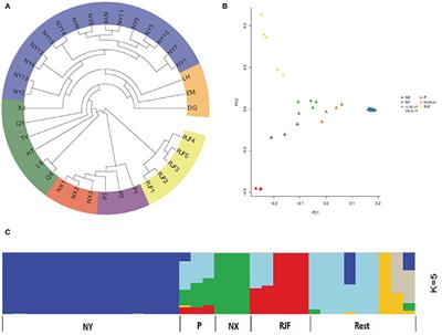 Genomic Analyses Reveal Adaptation to Hot Arid and Harsh Environments in Native Chickens of China